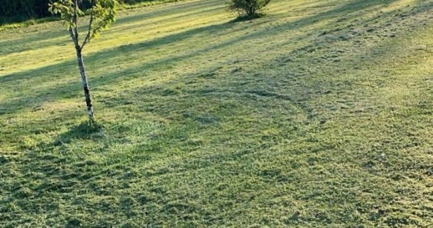 vente Terrain constructible Saint Junien