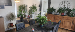 vente Maison Cosne D'allier