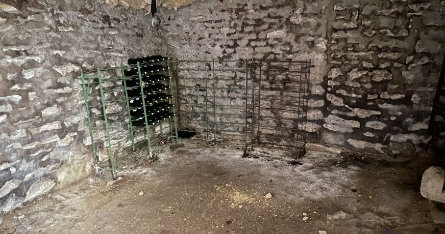 vente Maison Champigny En Rochereau