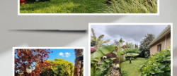 vente Maison Montaut