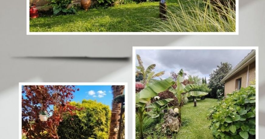 vente Maison Montaut