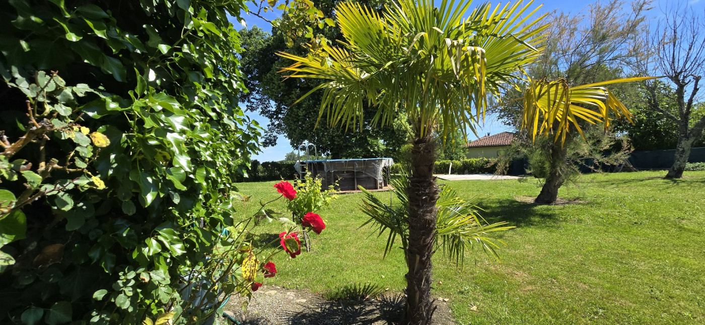 à vendre Maison Vidouze - Photo 7
