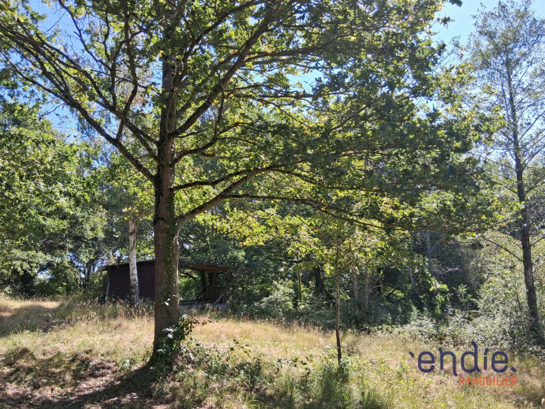 vente Terrain de loisir Vesdun - Photo 10