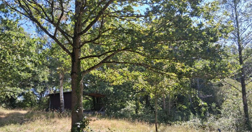 vente Terrain de loisir Vesdun