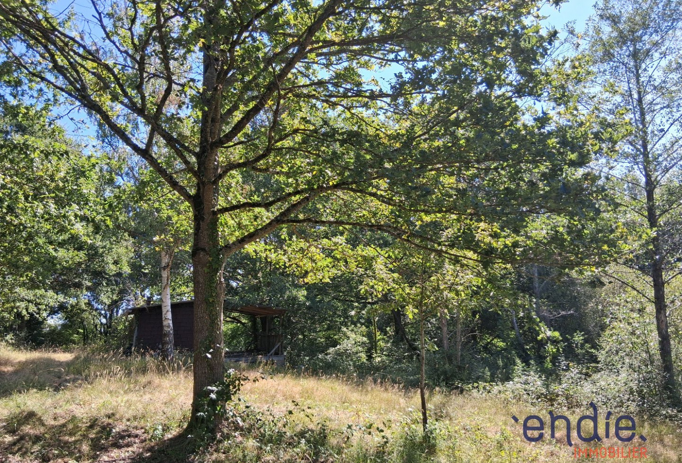 vente Terrain de loisir Vesdun - Photo 10