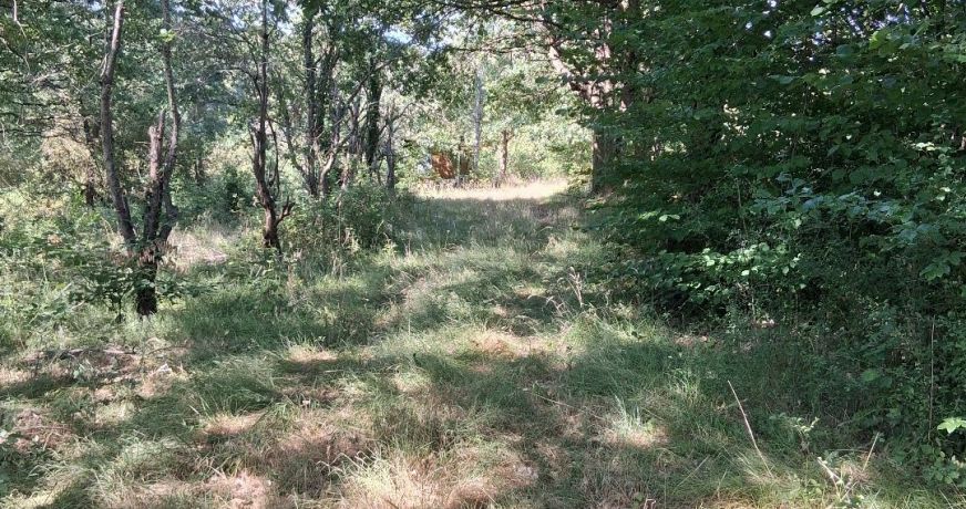 vente Terrain de loisir Vesdun