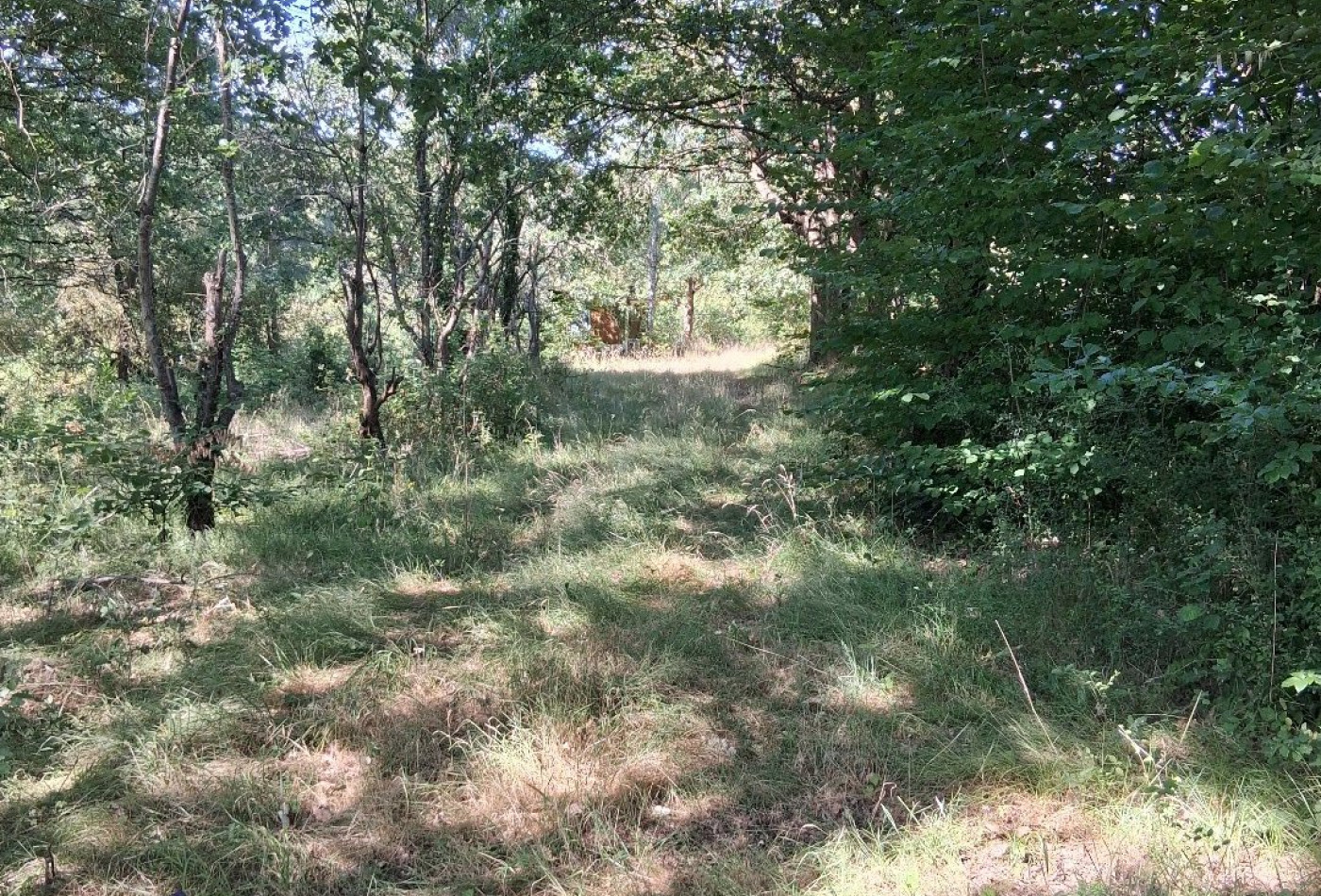 vente Terrain de loisir Vesdun - Photo 5