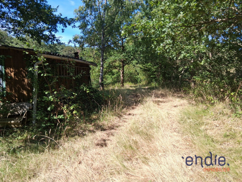 vente Terrain de loisir Vesdun - Photo 6