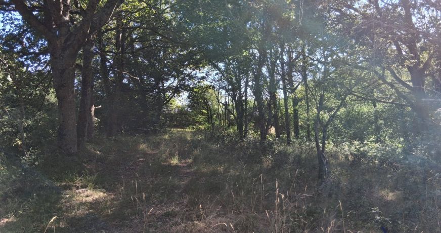 vente Terrain de loisir Vesdun