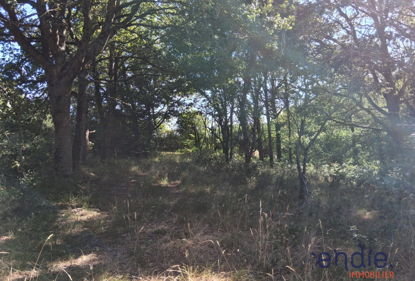 vente Terrain de loisir Vesdun - Photo 8
