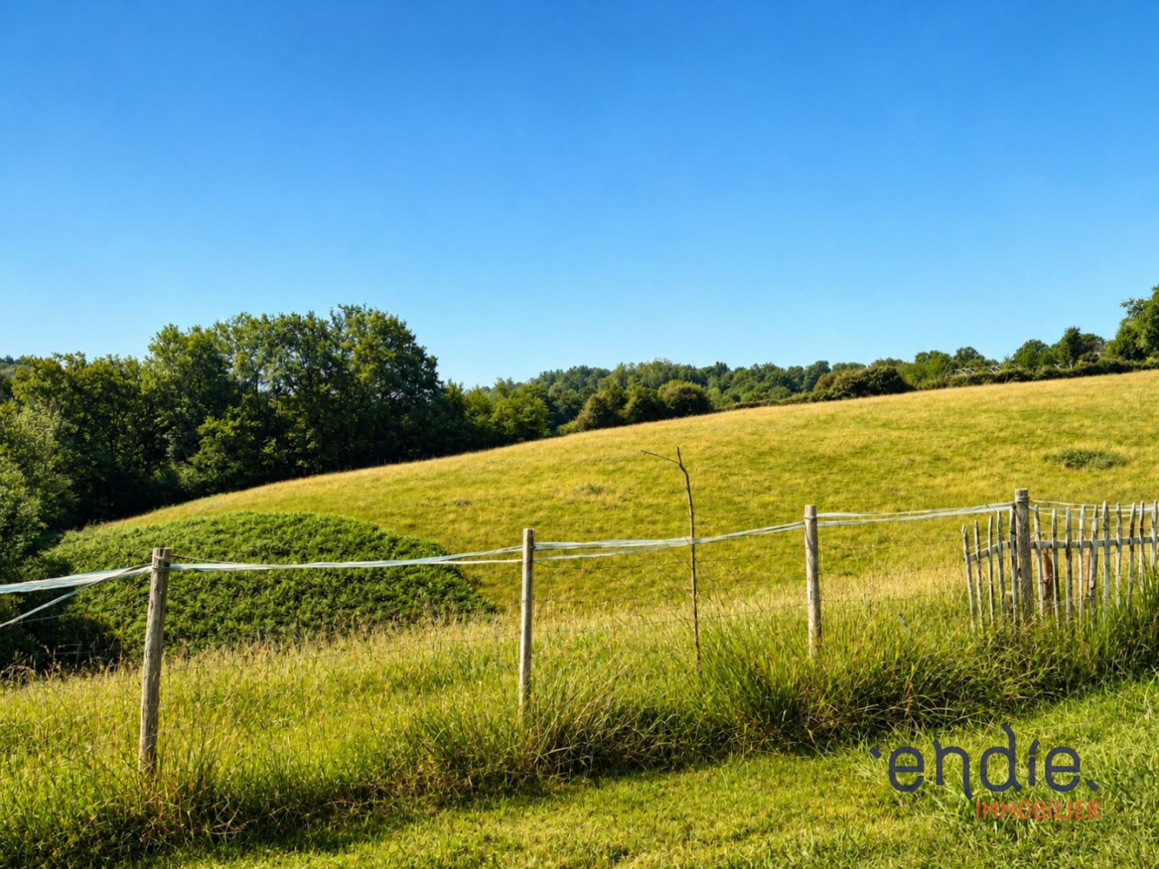 à vendre Maison de caractère Artiguelouve - Photo 2