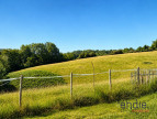 à vendre Maison de caractère Artiguelouve