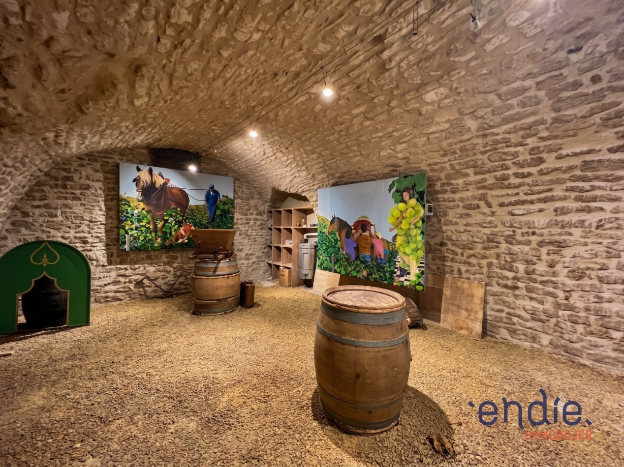 à vendre Maison Saint Georges Les Baillargeaux - Photo 18