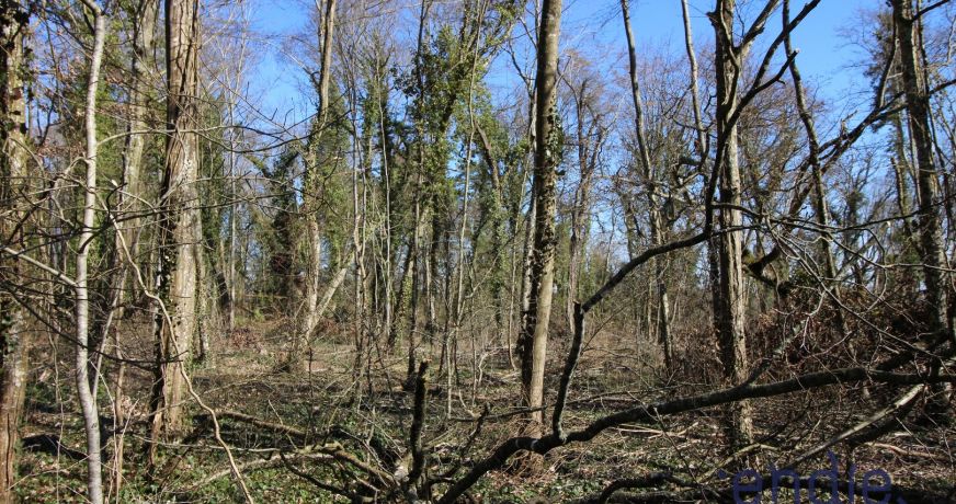 vente Terrain à lotir Saint Denis De Palin