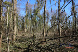 vente Terrain à lotir Saint Denis De Palin
