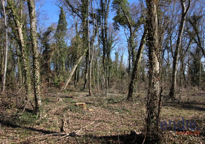 à vendre Terrain à lotir Saint Denis De Palin