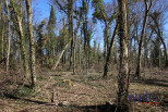 vente Terrain à lotir Saint Denis De Palin