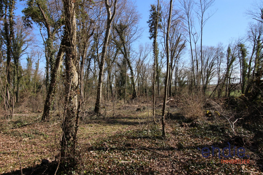 vente Terrain à lotir Saint Denis De Palin - Photo 5