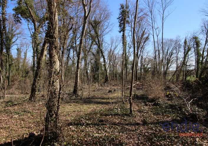 à vendre Terrain à lotir Saint Denis De Palin