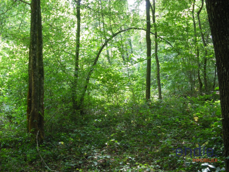 vente Terrain à lotir Saint Denis De Palin - Photo 6