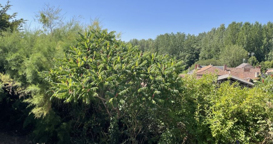 vente Maison Moncontour