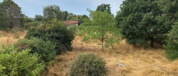 vente Maison Saint Pourcain Sur Besbre
