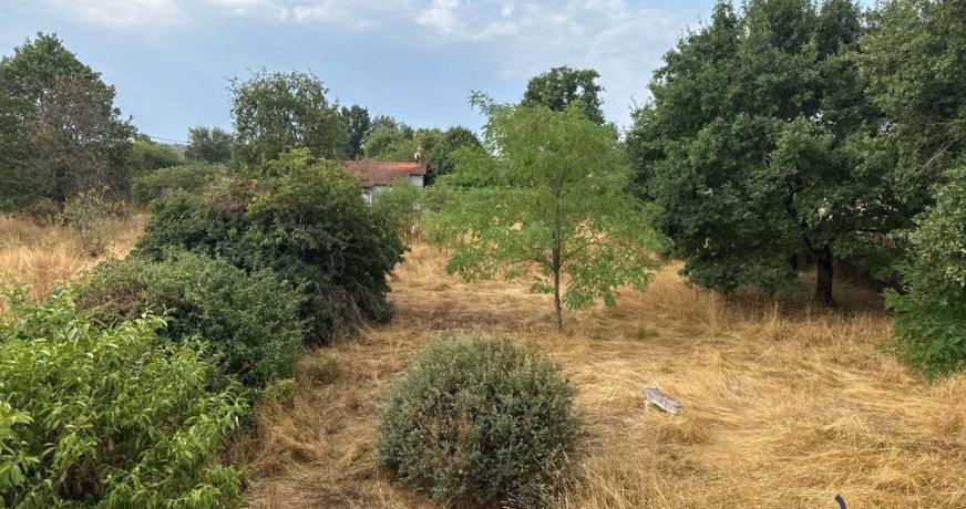 vente Maison Saint Pourcain Sur Besbre