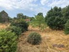 vente Maison Saint Pourcain Sur Besbre