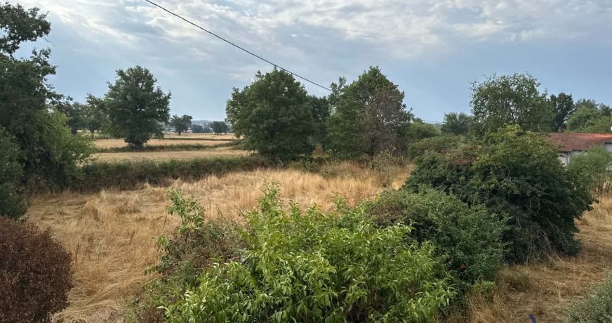vente Maison Saint Pourcain Sur Besbre