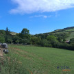 vente Terrain constructible Clemensat