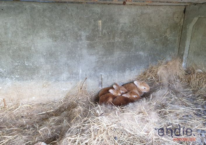 à vendre Maison de caractère Louroux De Beaune