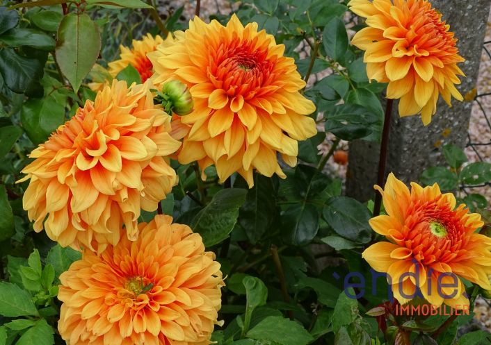 à vendre Maison Dompierre Sur Besbre