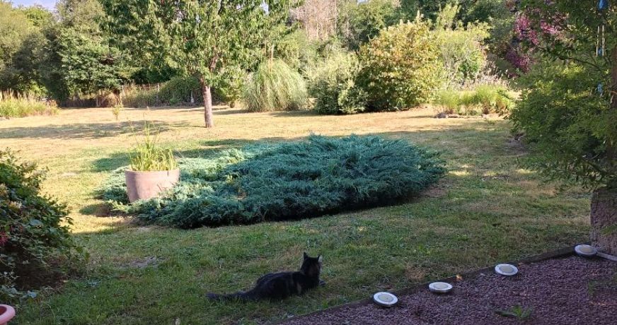 vente Maison Buxieres Les Mines