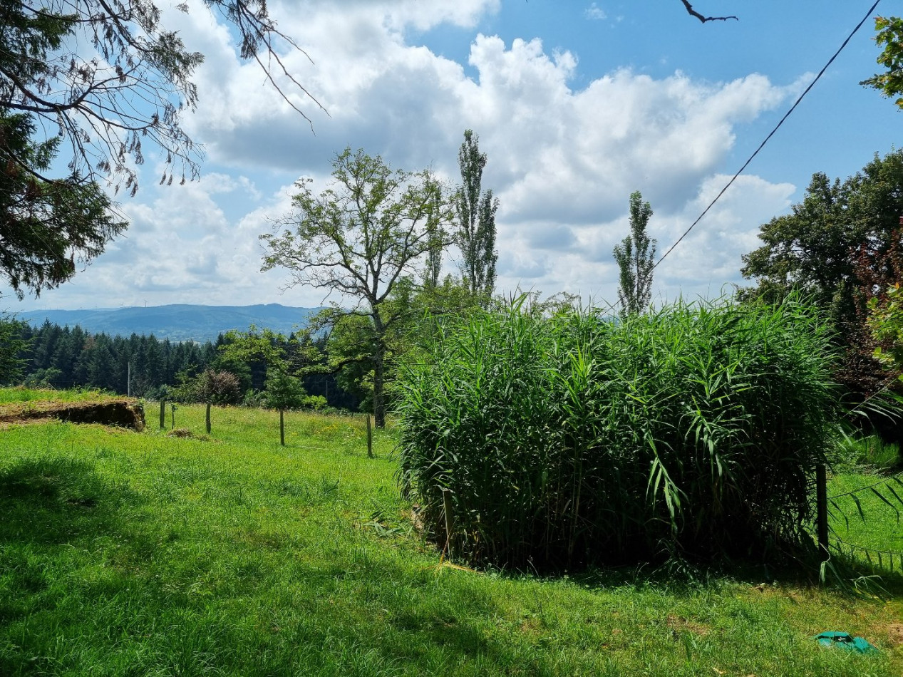 à vendre Maison bourgeoise Chatel Montagne - Photo 9