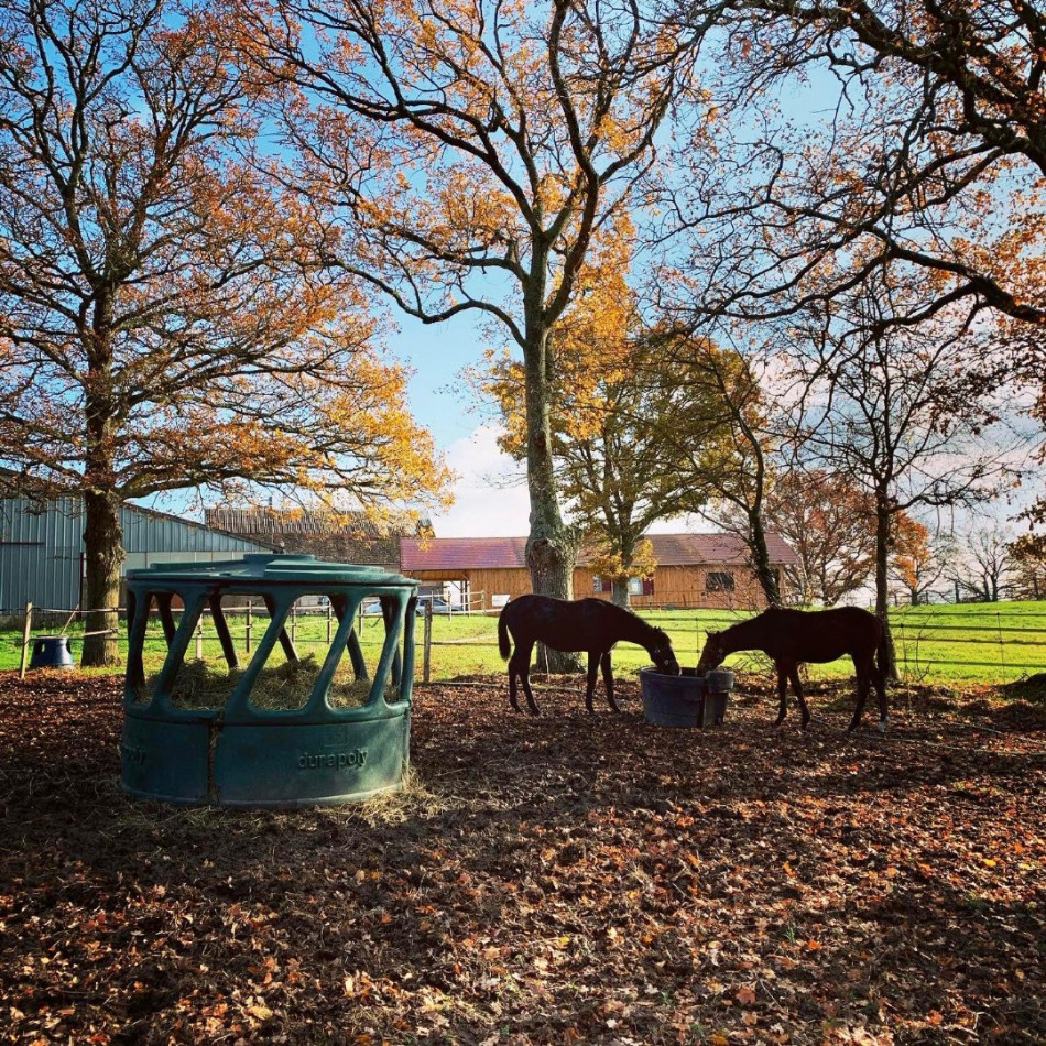 for sale Haras / equestre Autry Issards - Photo 8