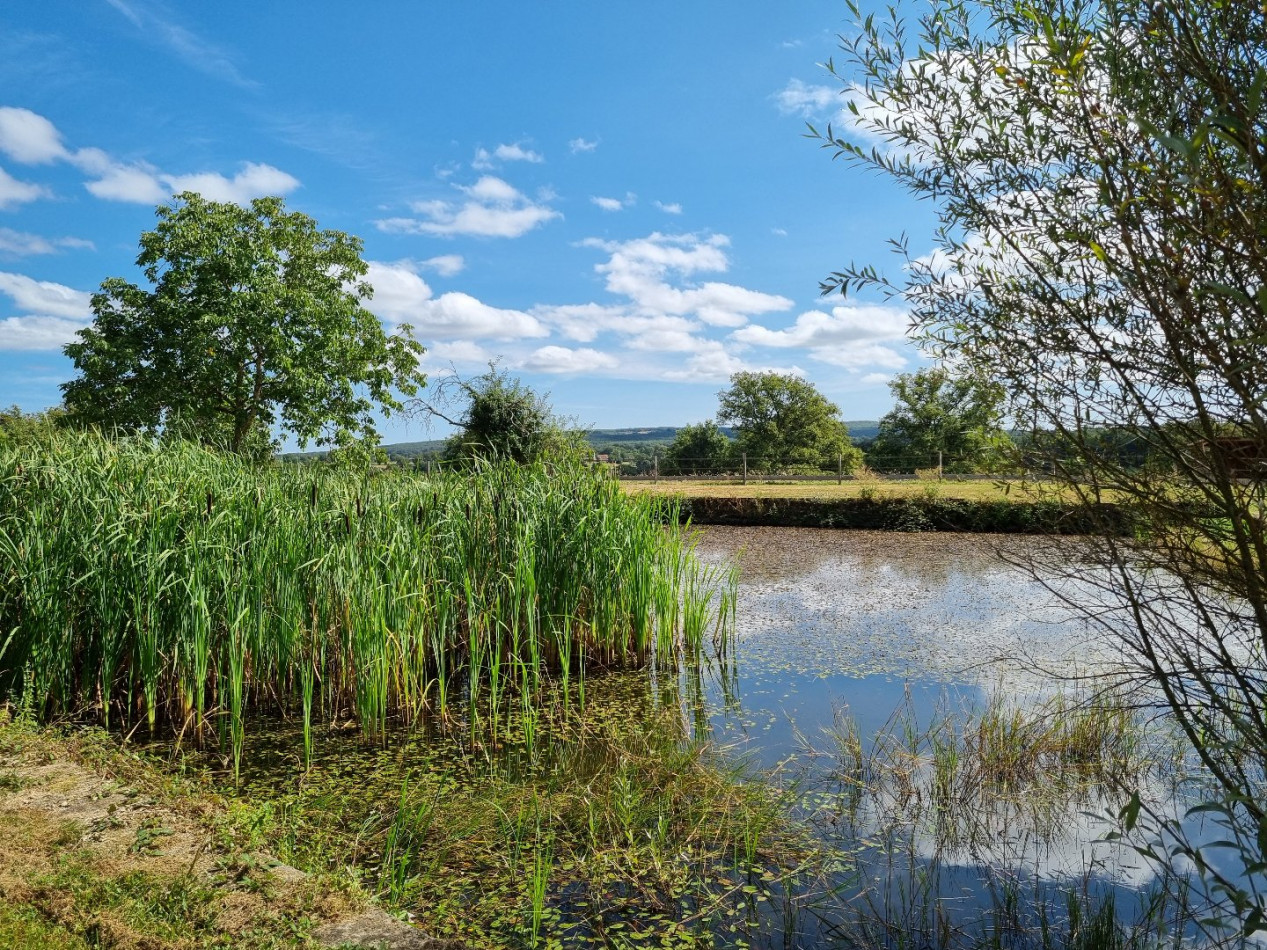 for sale Haras / equestre Autry Issards - Photo 6