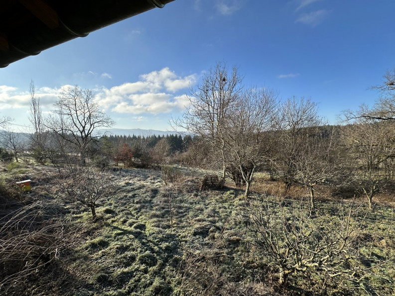 vente Chalet Chatel Montagne - Photo 10