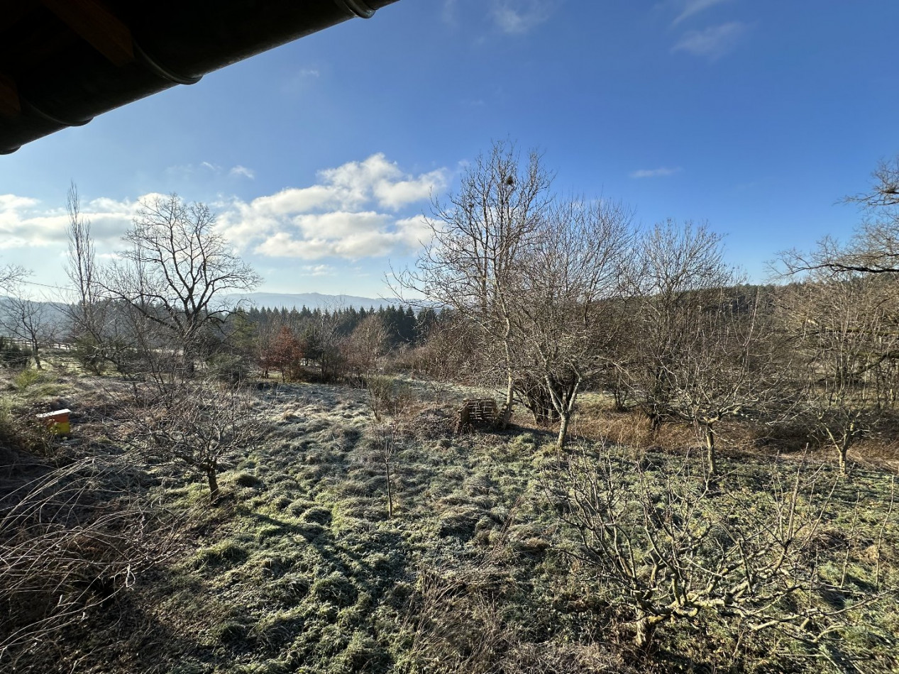 à vendre Chalet Chatel Montagne - Photo 10