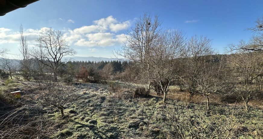 vente Chalet Chatel Montagne