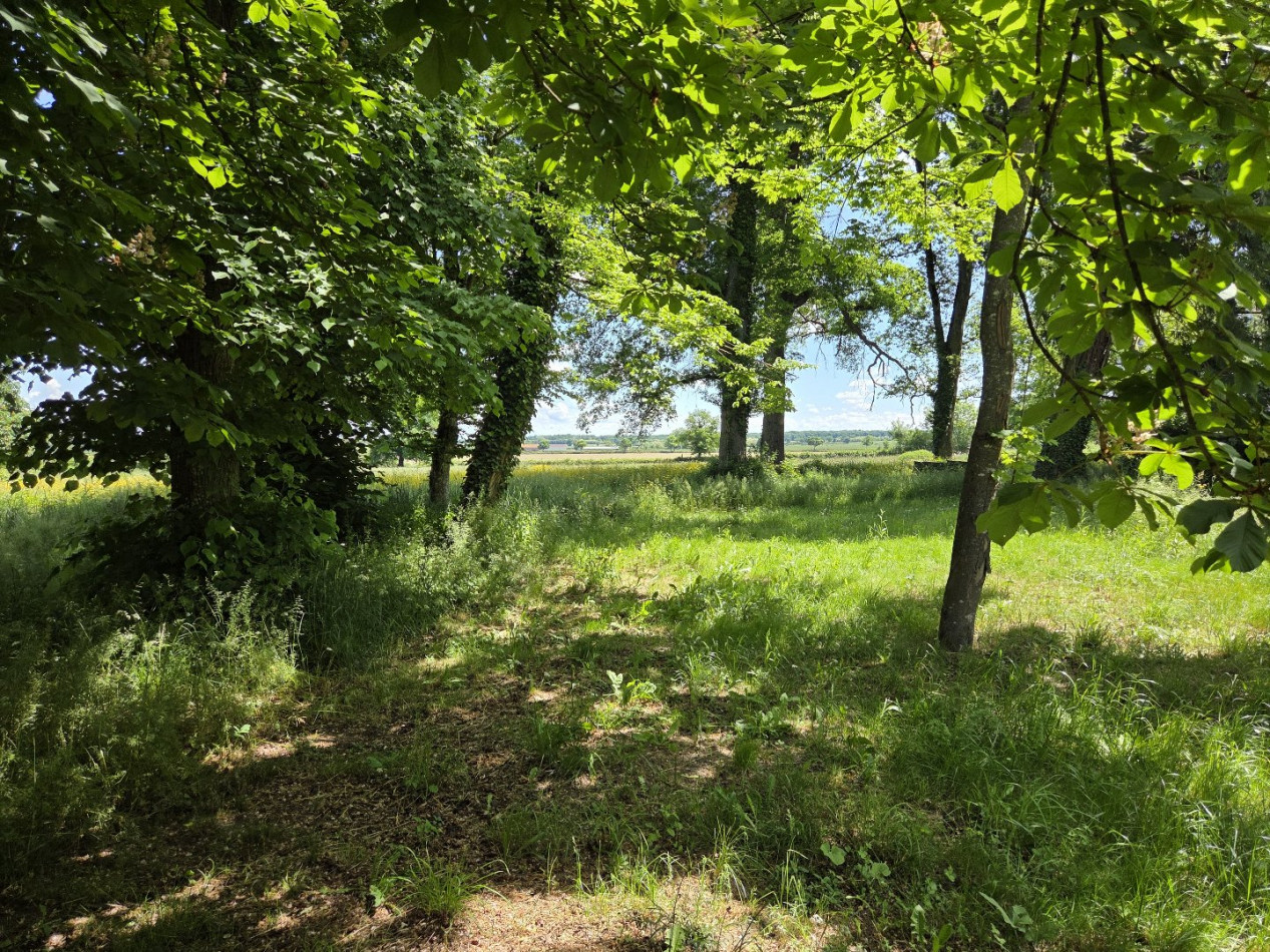 à vendre Corps de ferme Gennetines - Photo 10