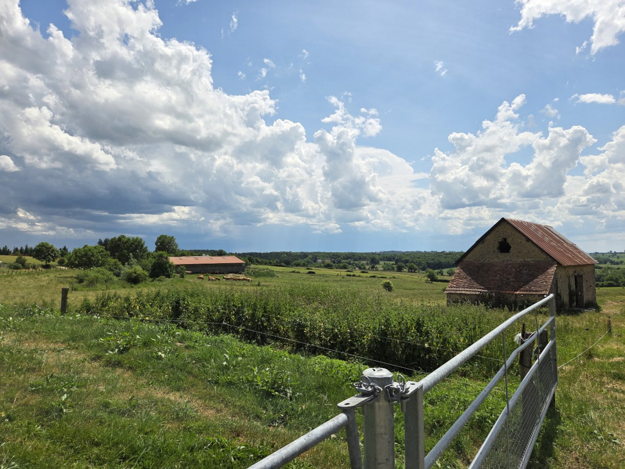 for sale Propriété agricole Noyant D'allier - Photo 9