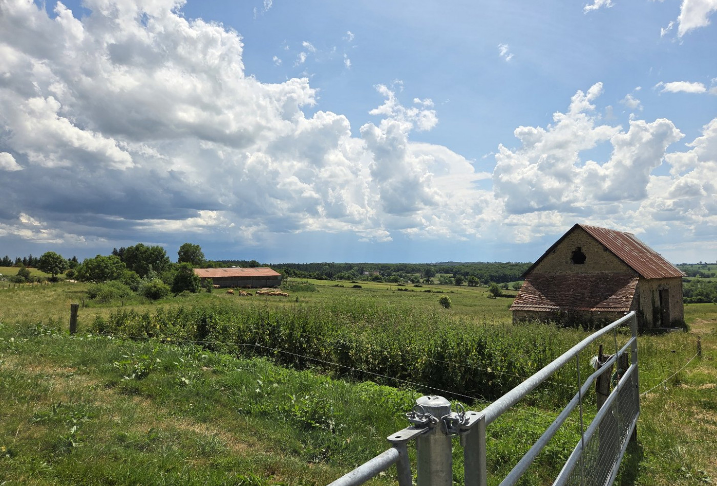 vente Propriété agricole Noyant D'allier - Photo 9