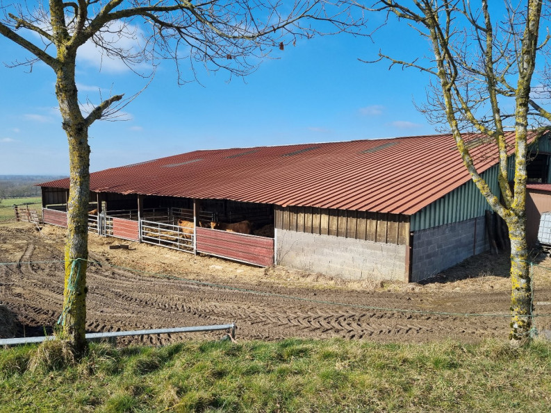 vente Propriété agricole Noyant D'allier - Photo 7