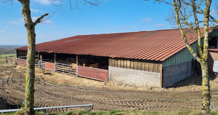 vente Propriété agricole Noyant D'allier