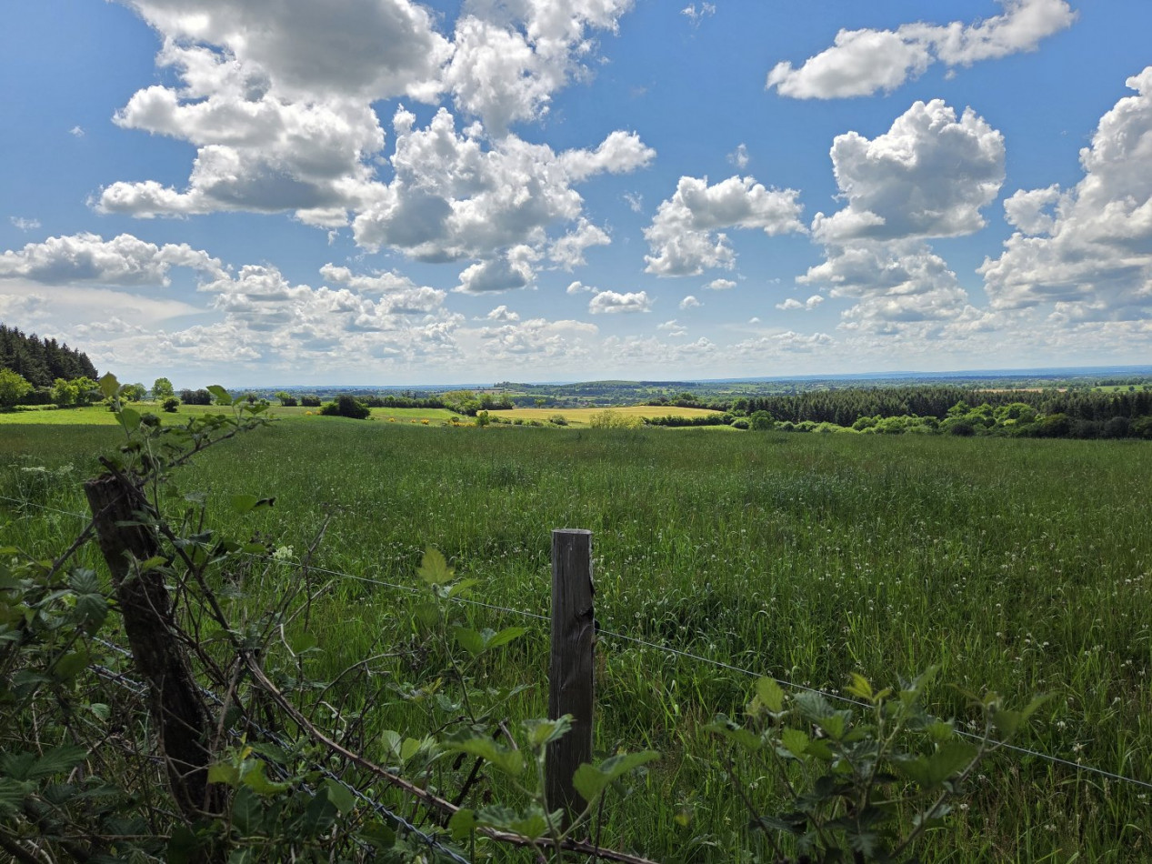 à vendre Propriété agricole Noyant D'allier - Photo 10