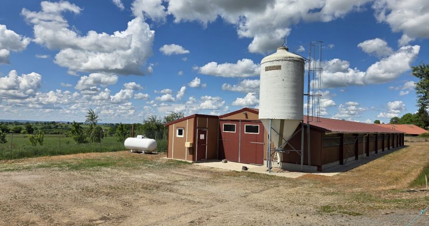 vente Propriété agricole Noyant D'allier