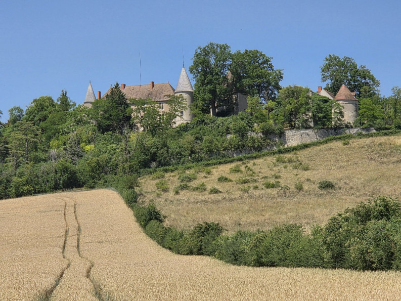 vente Château Vicq - Photo 1