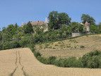 vente Château Vicq