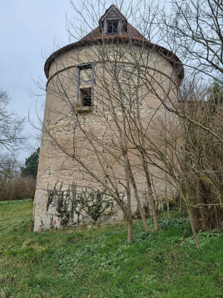 vente Château Vicq - Photo 9