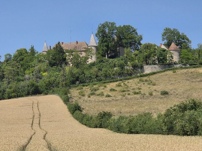 for sale Château Vicq